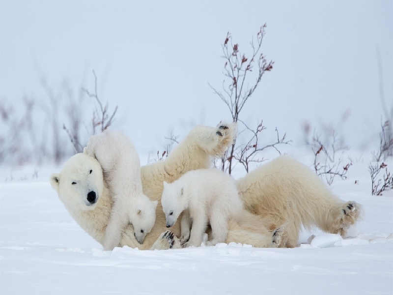 国内试管期间几点睡觉（试管怎么要男孩）